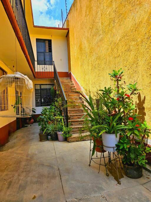 Apartament Depa Entero 4 Personas! Santa Cruz Xoxocotlán Zewnętrze zdjęcie